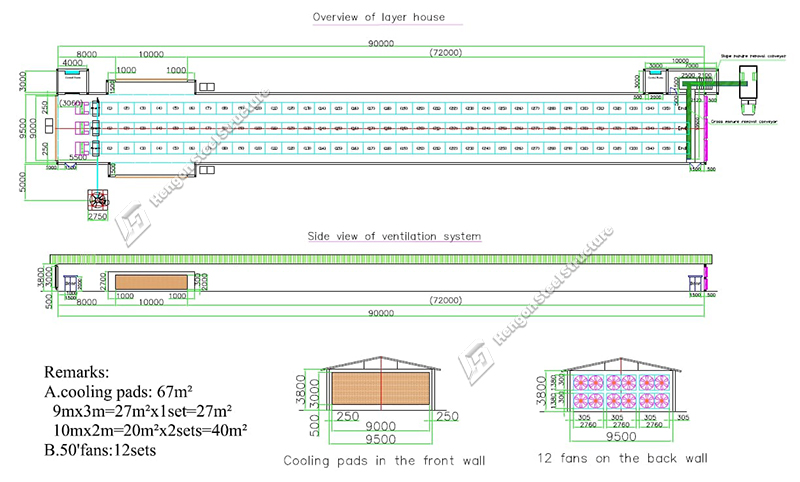 Casa Fiji-Layer Casa Pullet