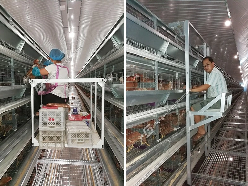 Sistema de recogida de huevos